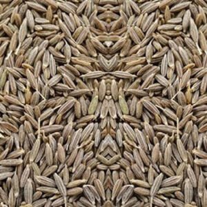cumin seeds